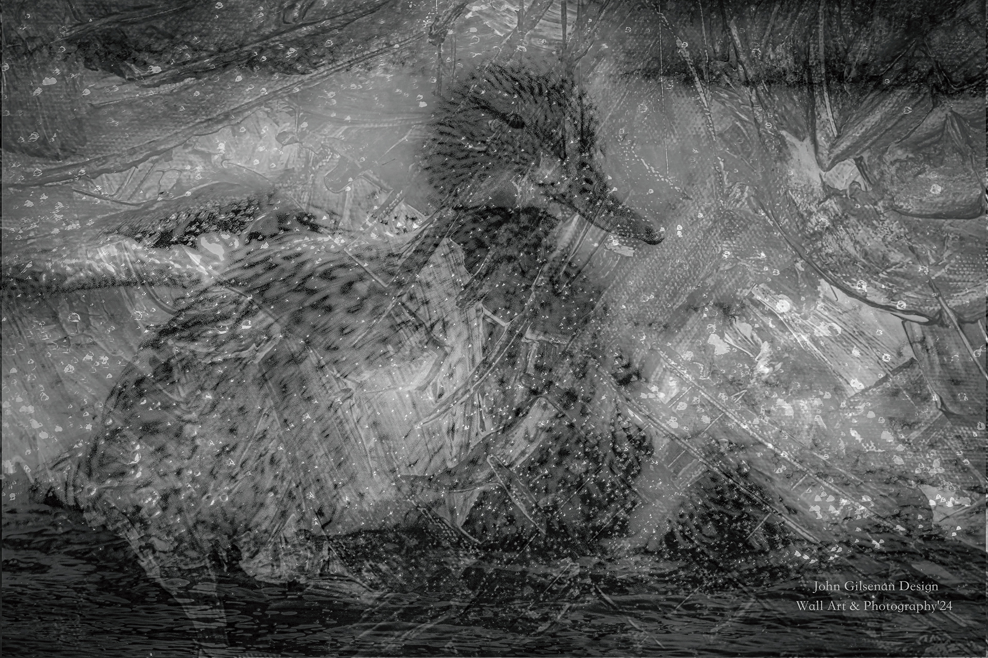 11577 Mallard Frenzie!!