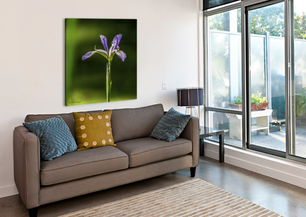 Acrylic 10076 BLUE IRIS 2