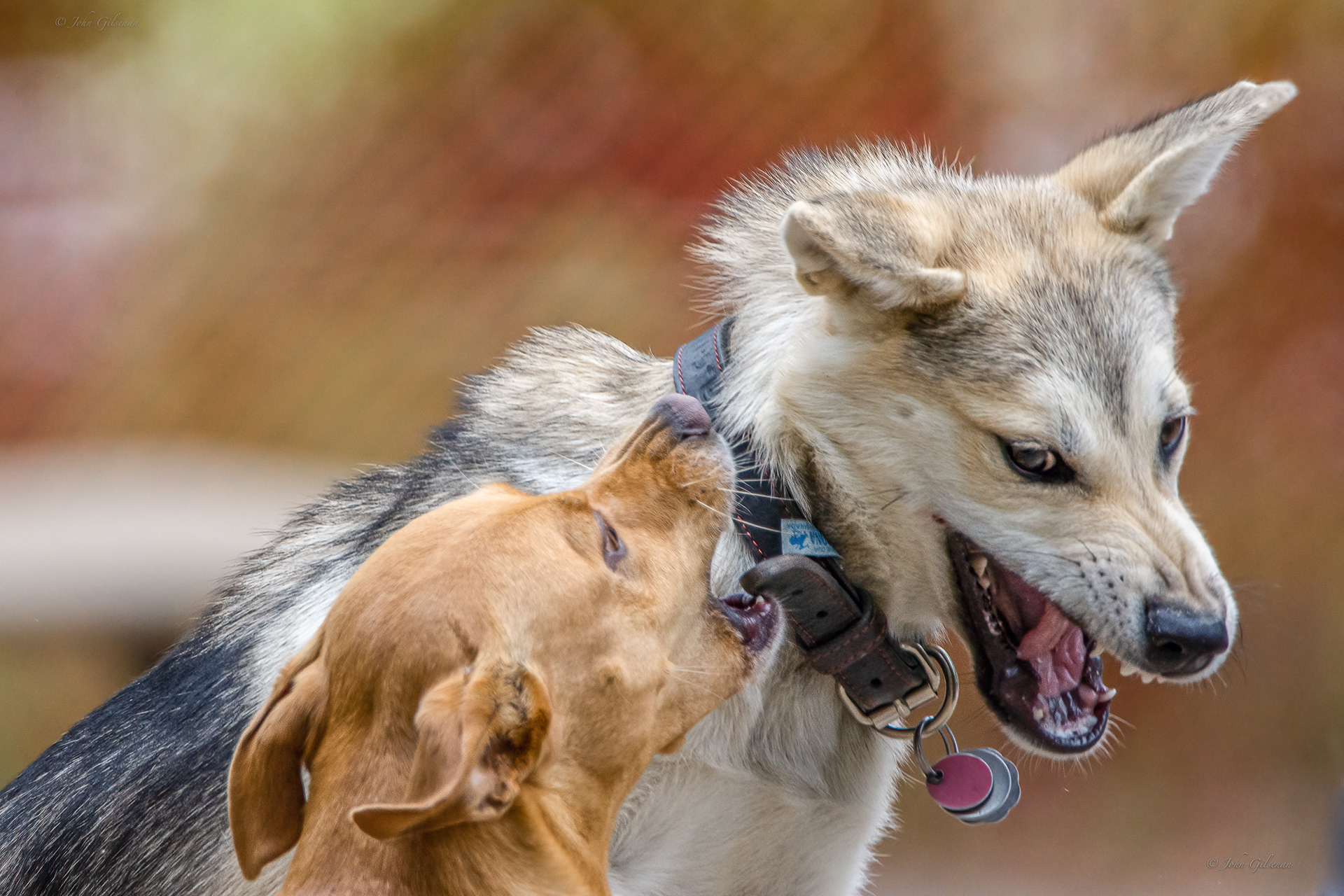 10112 Can you hear Me ?? / Pouvez-vous m'attendre ??