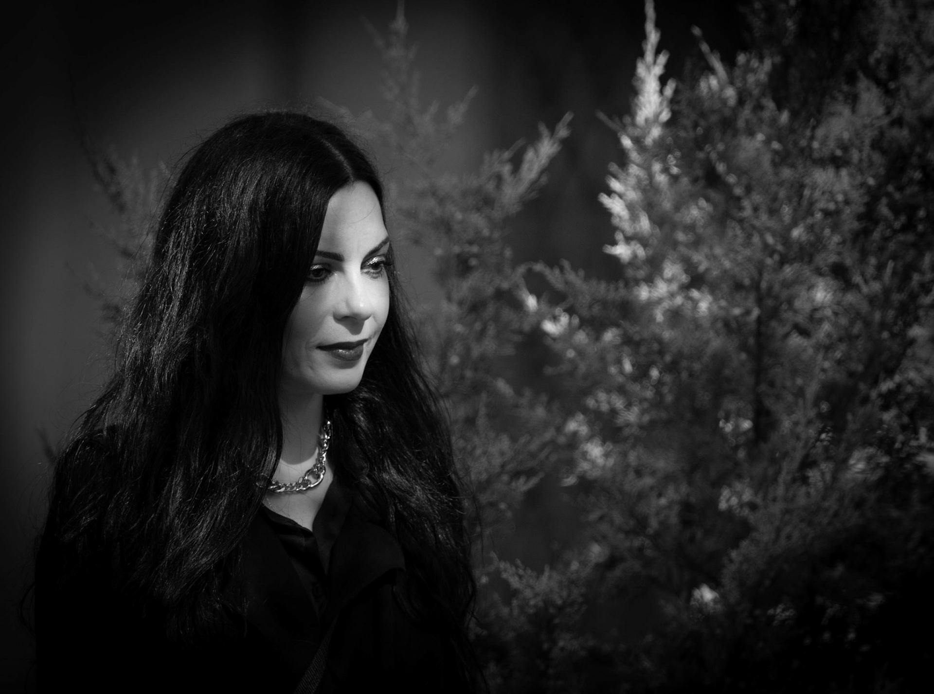 10760 Just in passing, captured