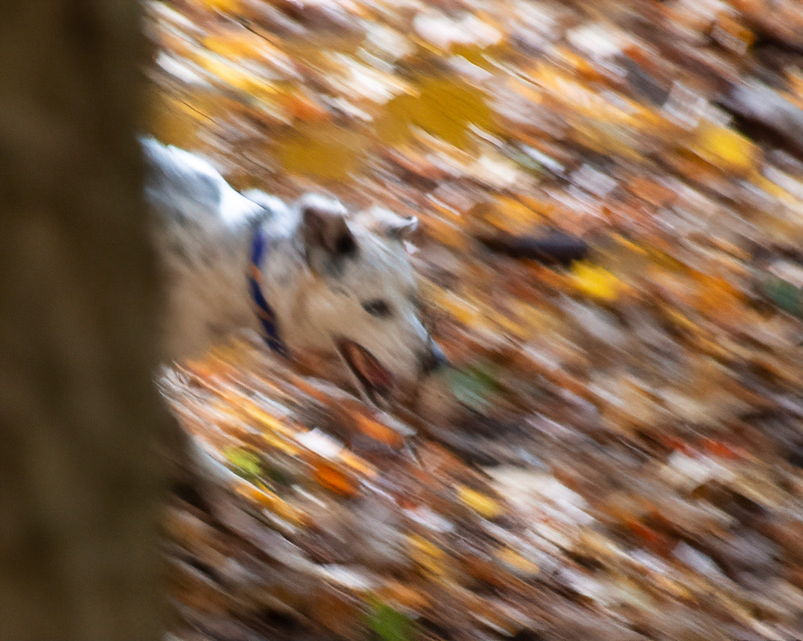 11267 Where did you go ??? Ou êtes-vous allé ??