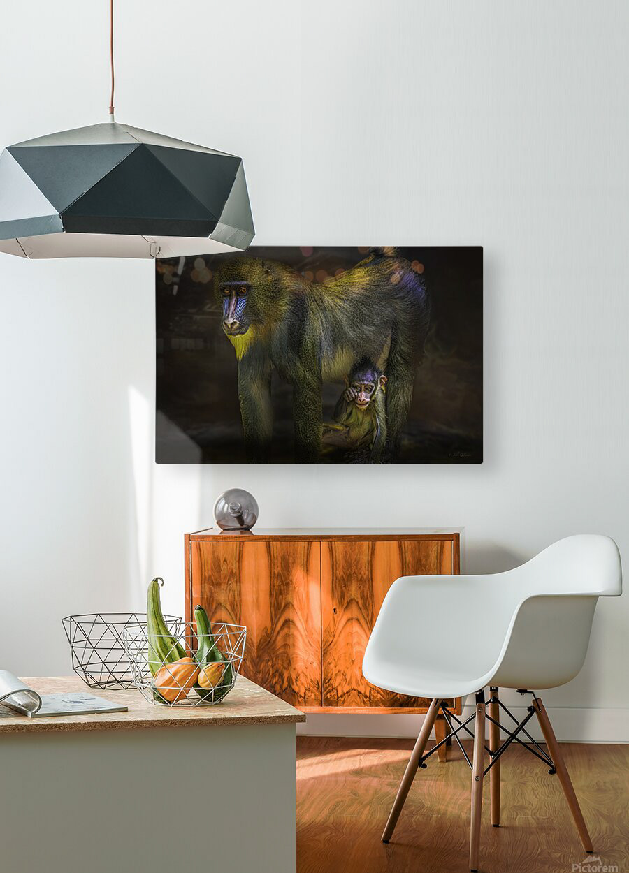 Acrylic. 10988 MANDRILL AND SON