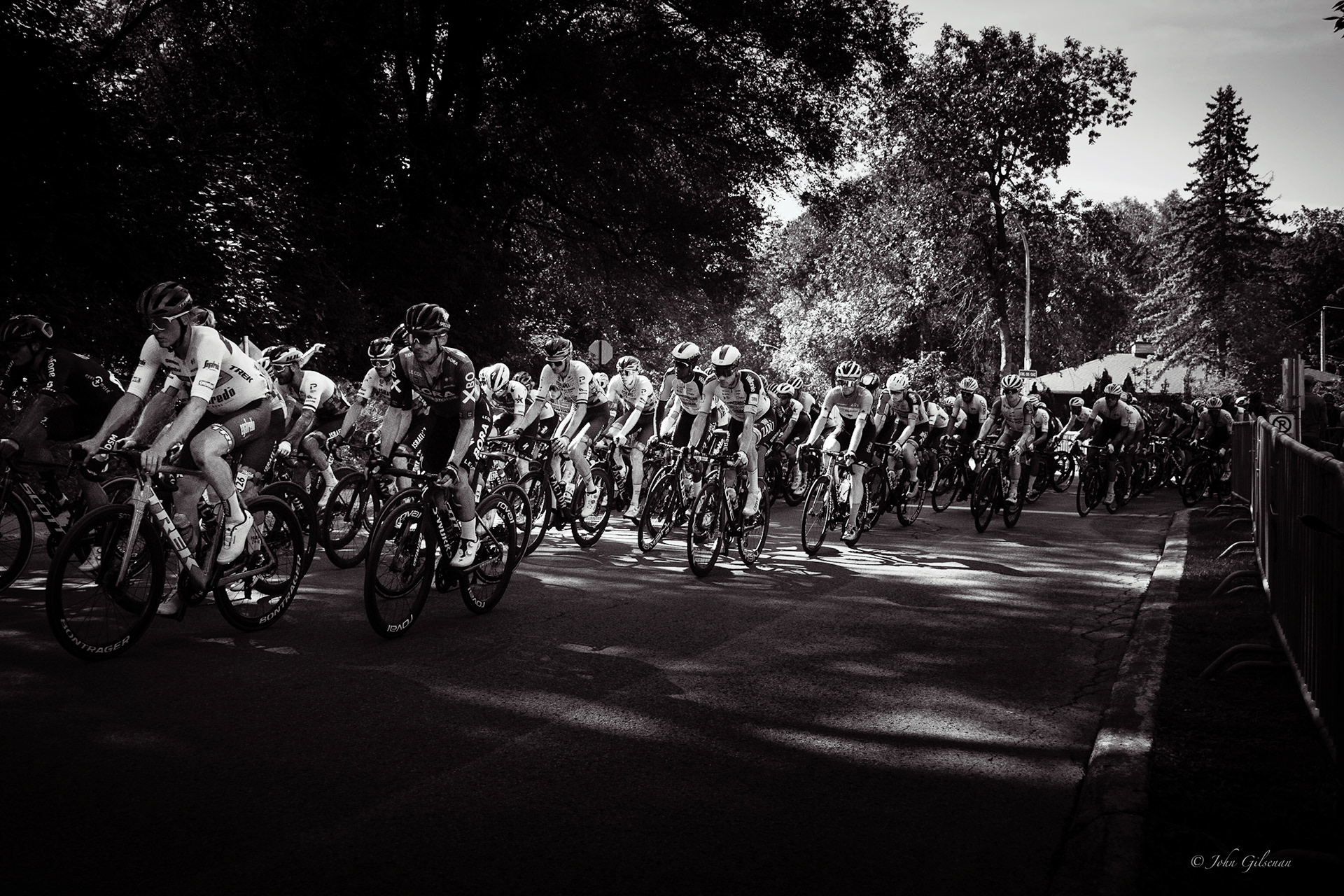 10816 Grande Prix Velo