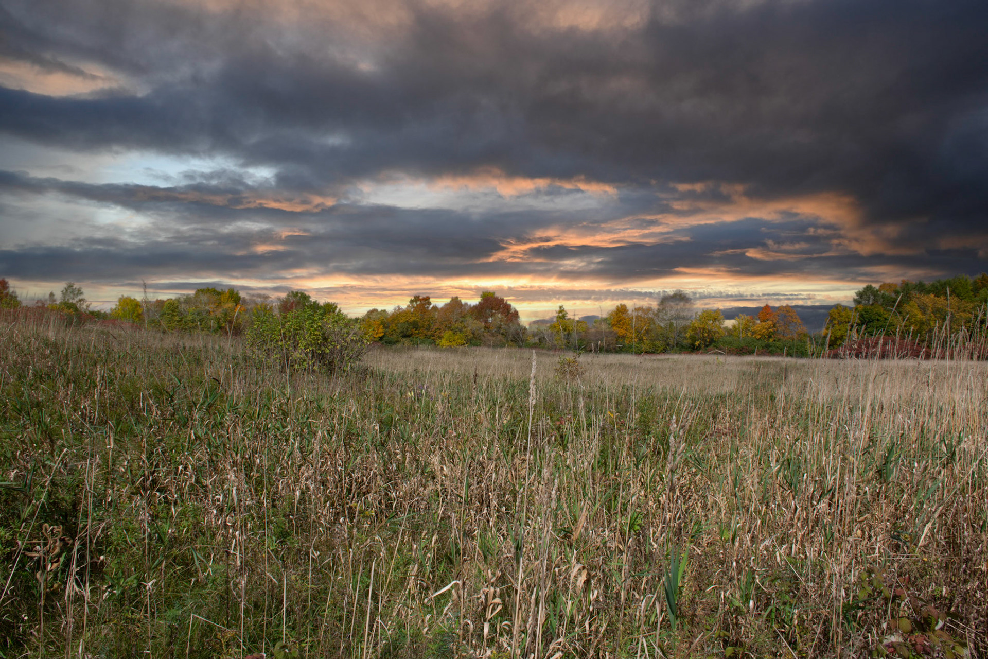 10437 Morgan Arboretum