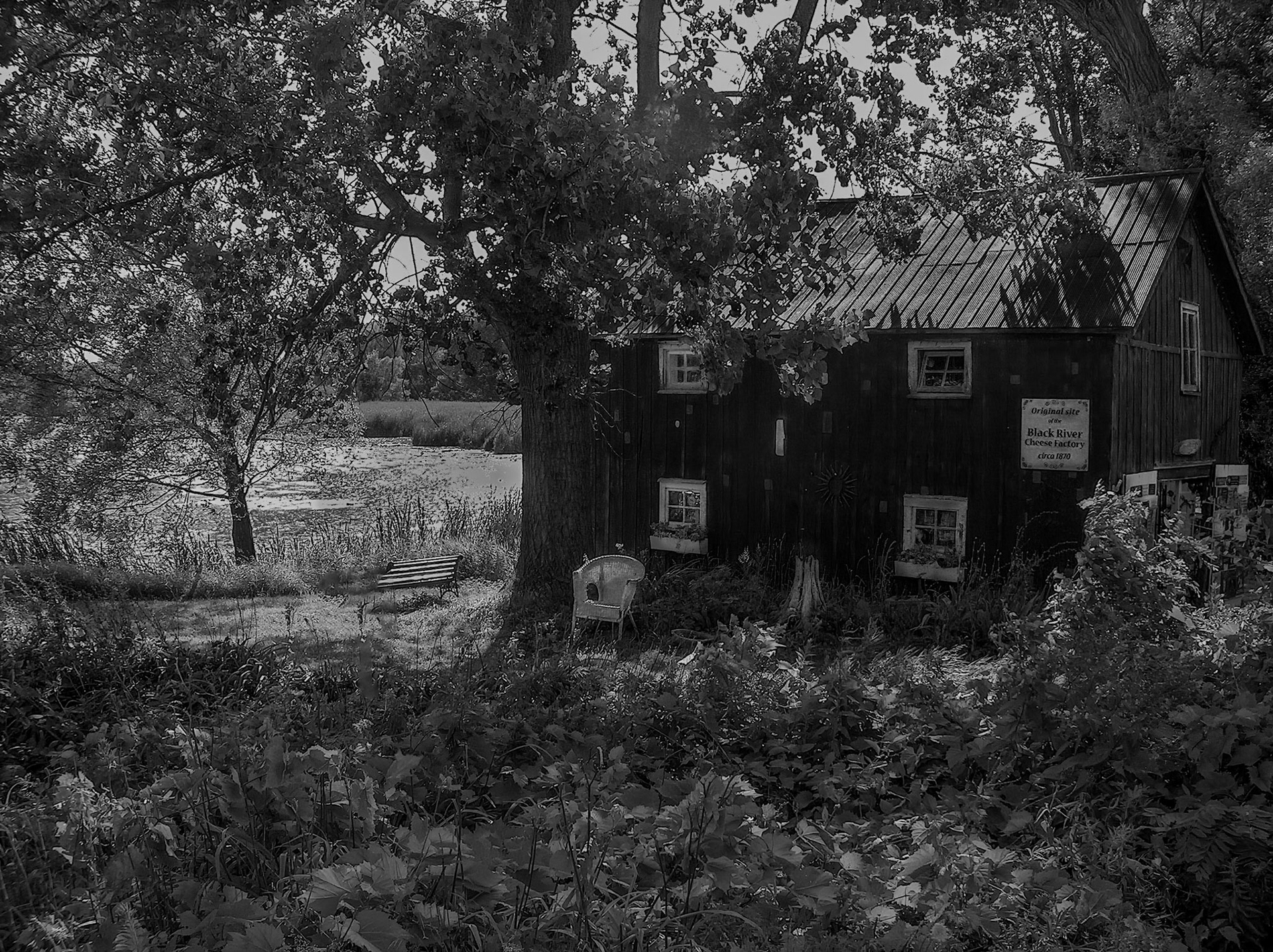 10782 Black River Cheese Co. 