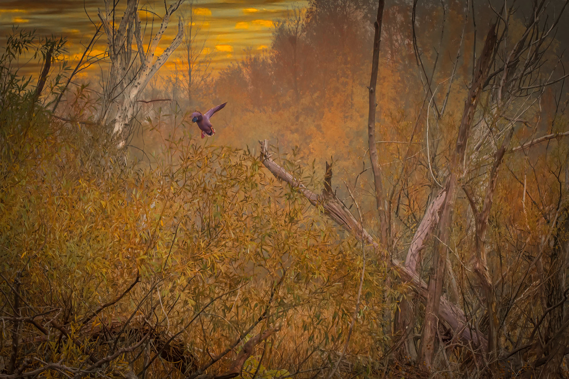 10496 Landing