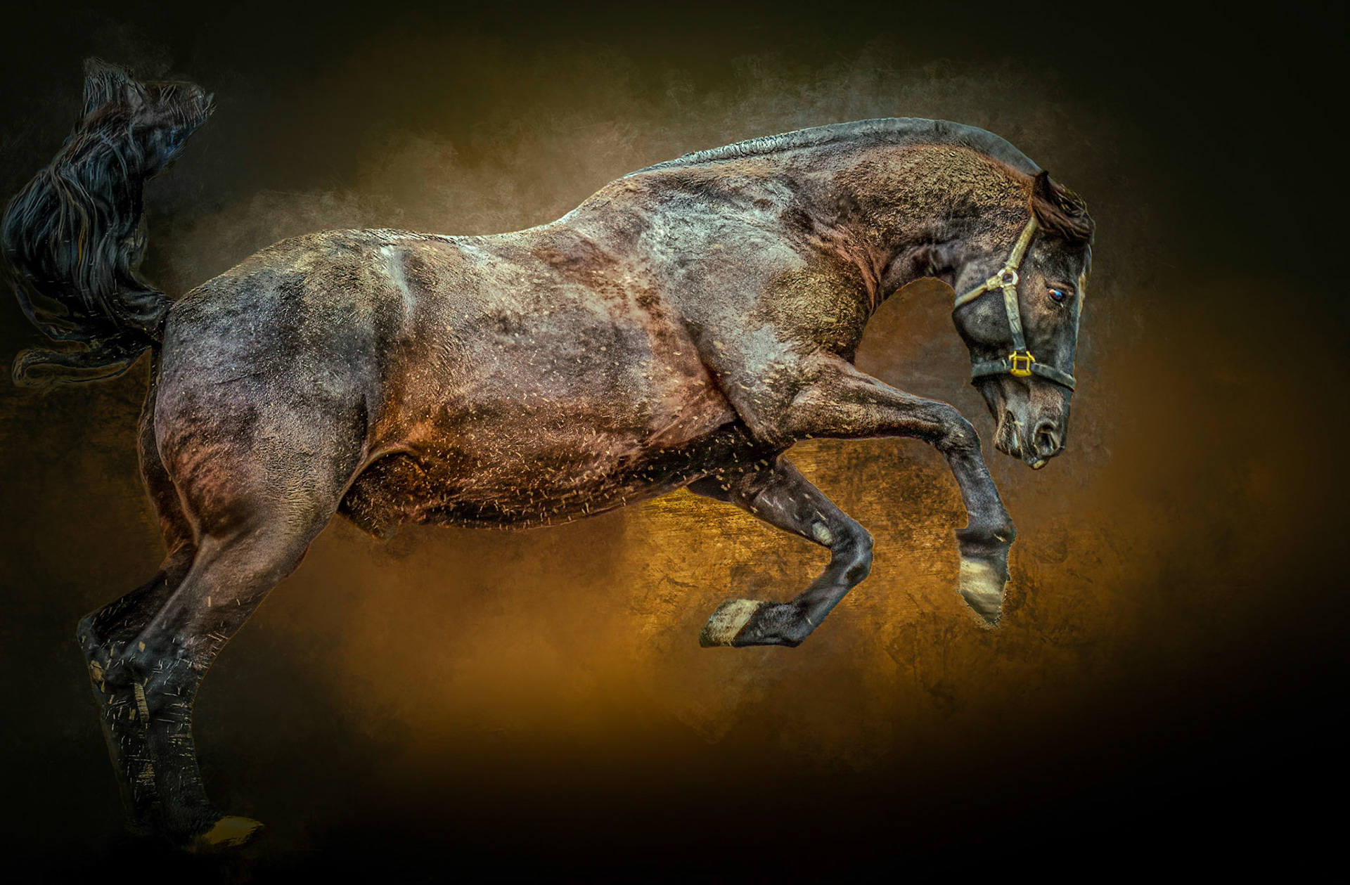 10977 Mounted Police Horse