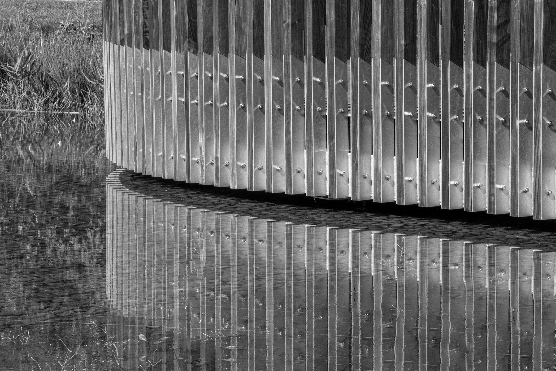 11184 Botanical Gardens 2020