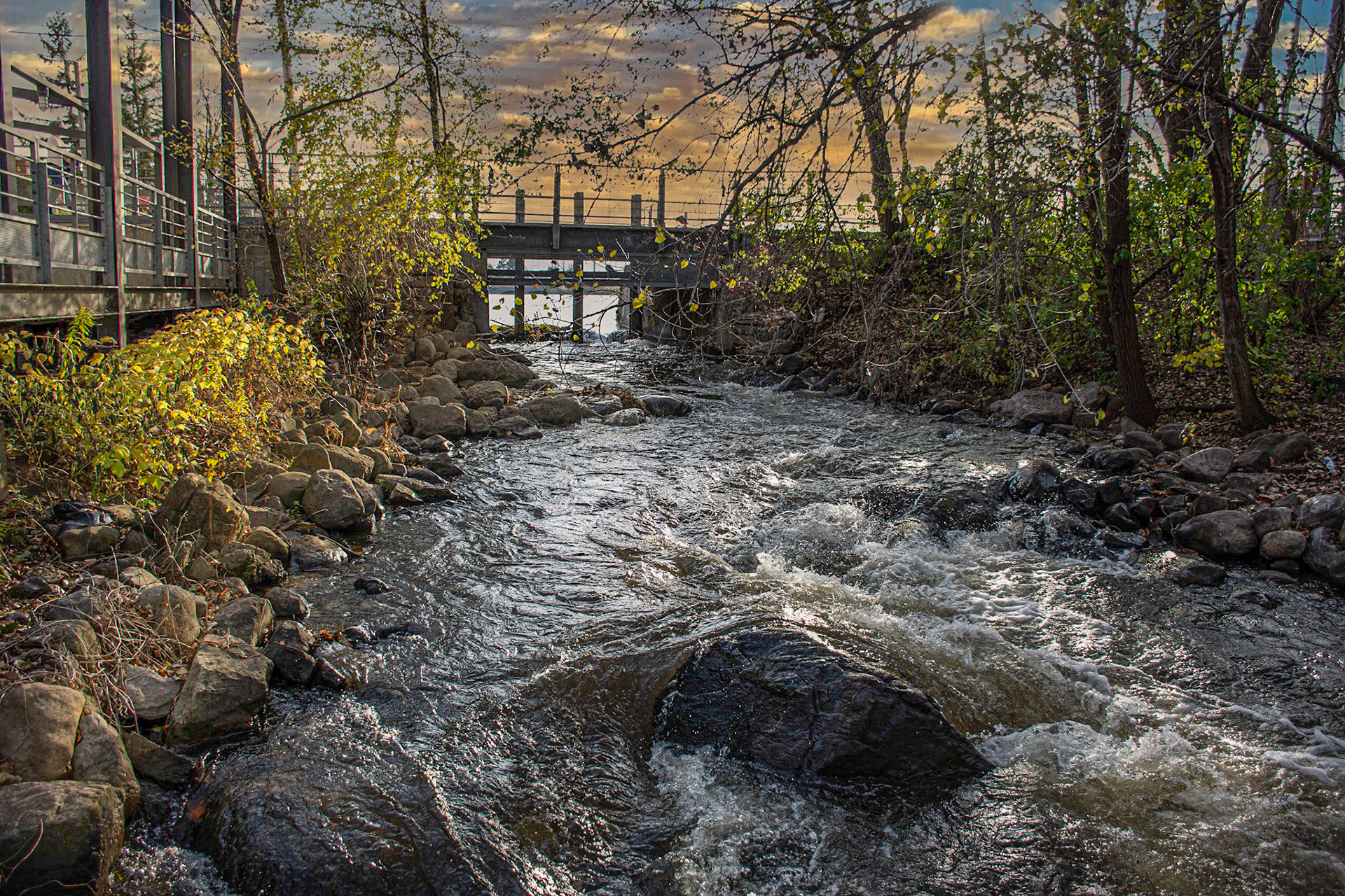 11144 Ile de La Visitation