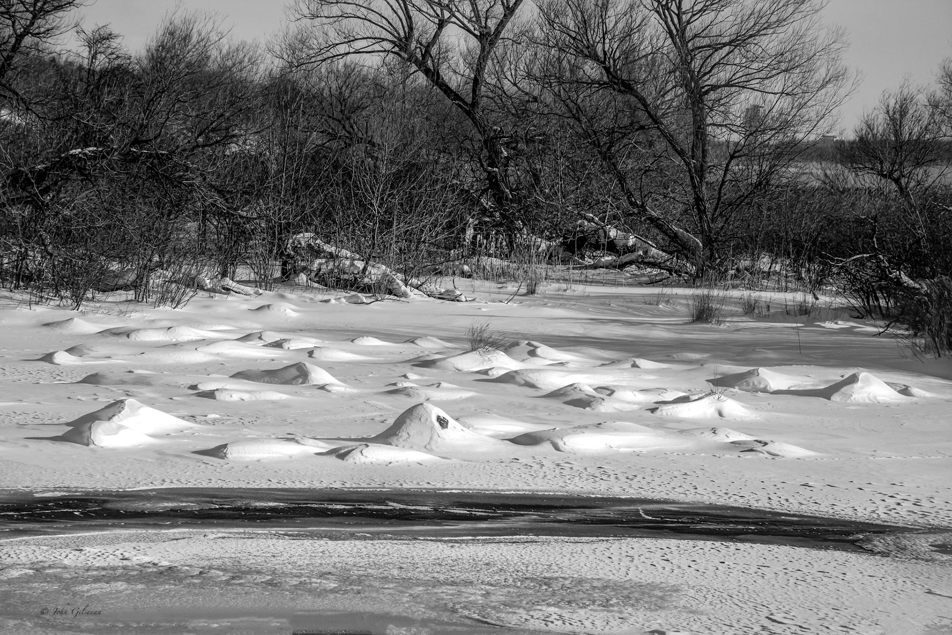 10965 Parc des Rapides 