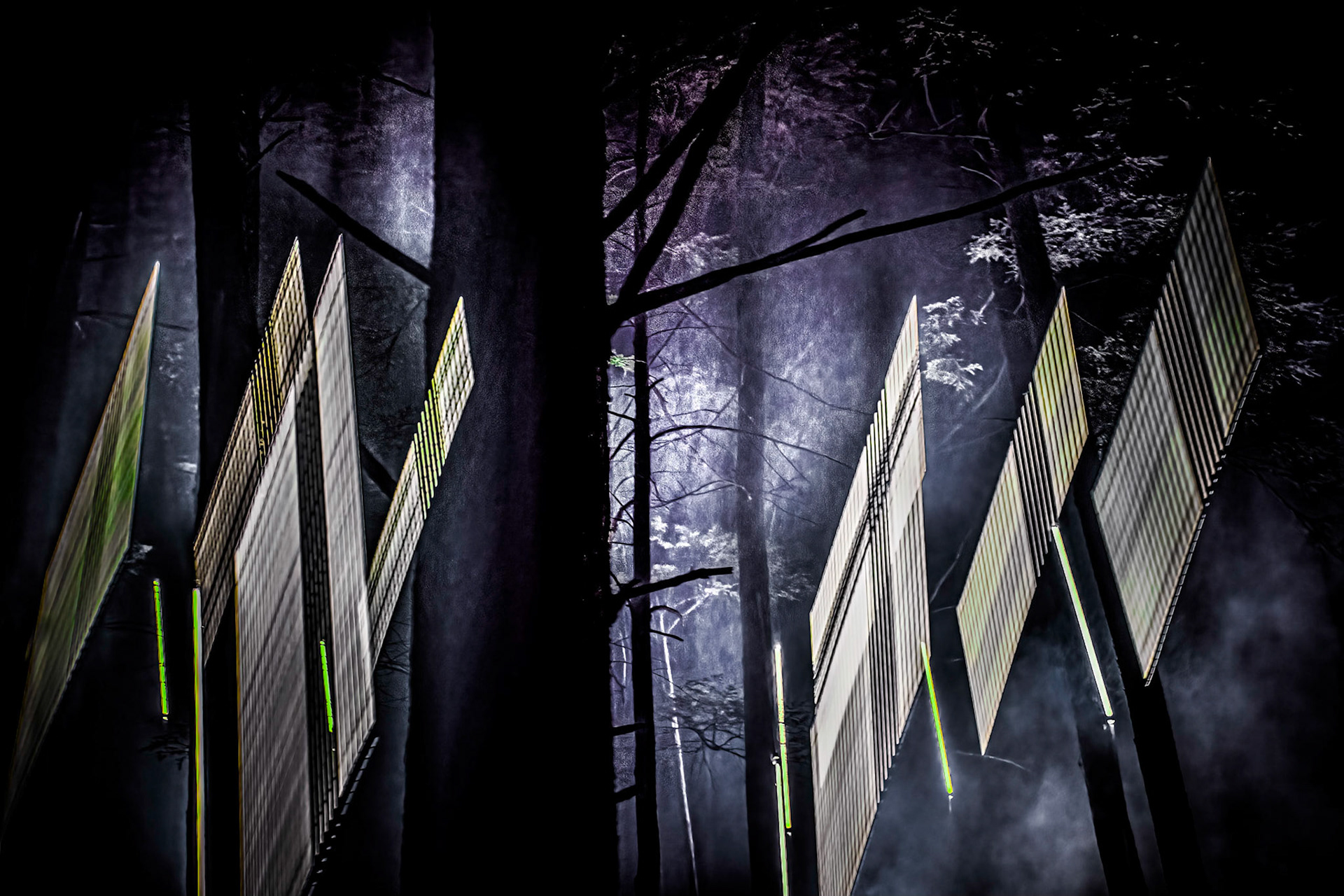 10537 Lite Forest