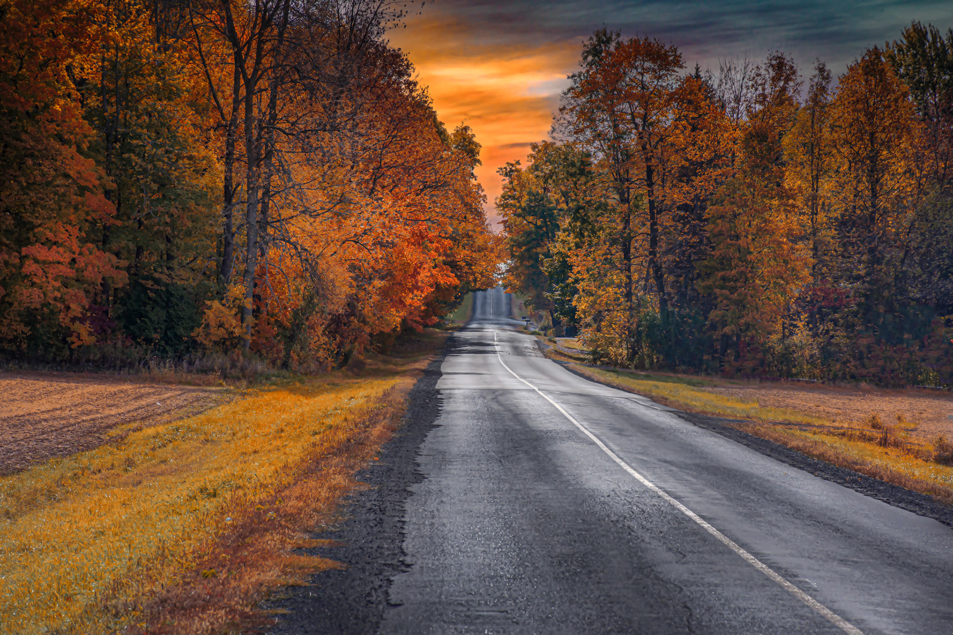 10995 Loyalist  Road