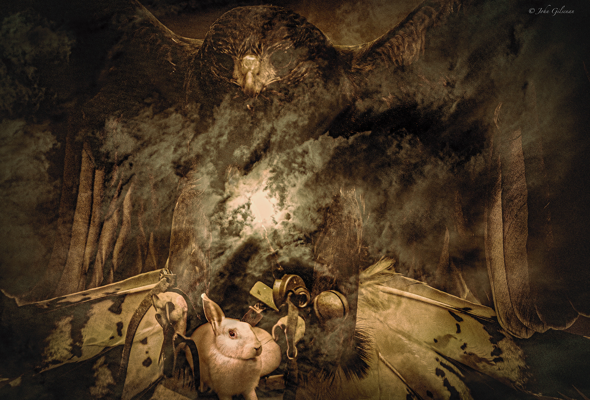 11401 Haris Hawk with Prey