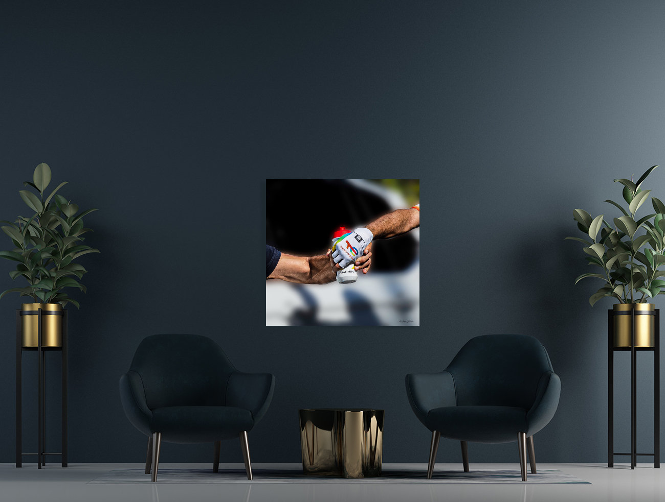 10809 GRANDE PRIX VELO