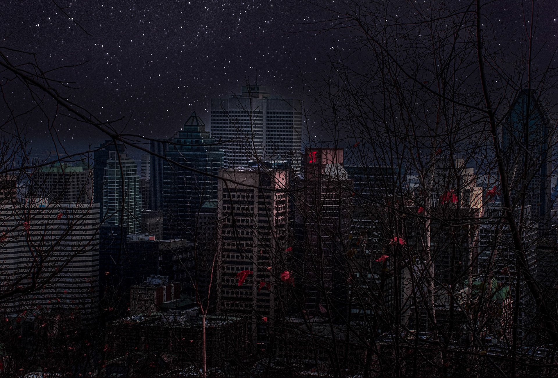 11139 Fantasy Skyline Montreal