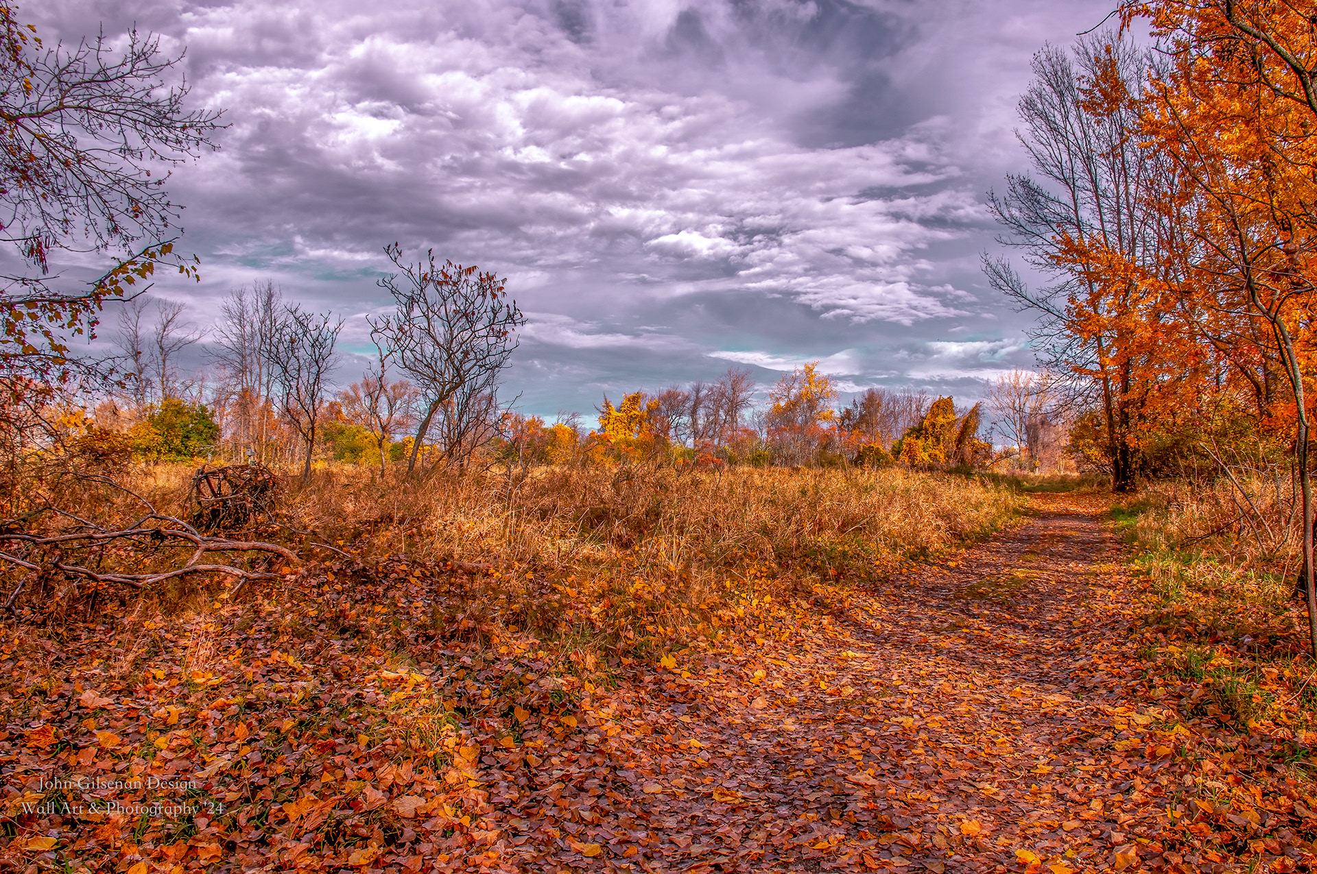 11552 Grazing in the Fields