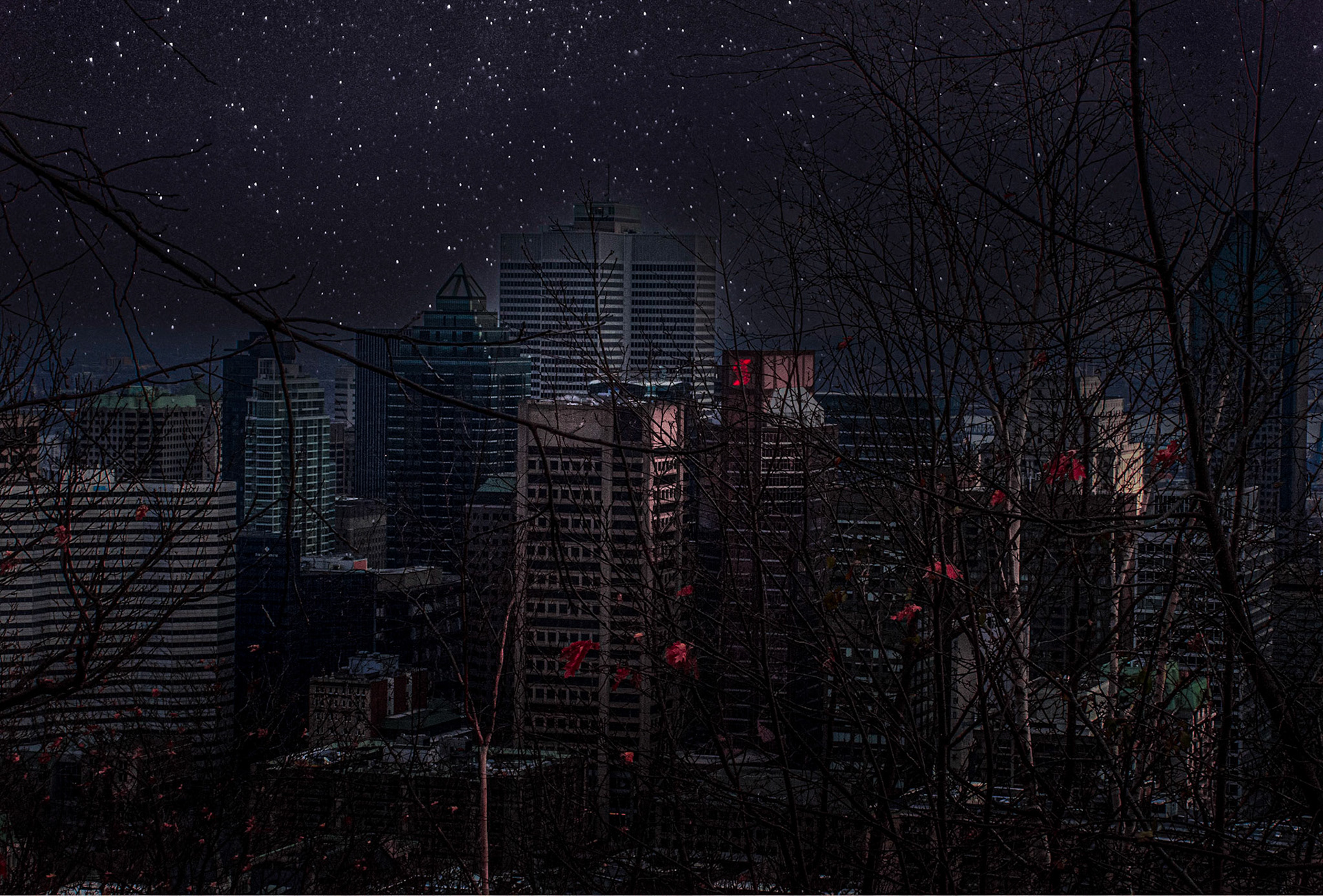 11139 Magical Night Sky