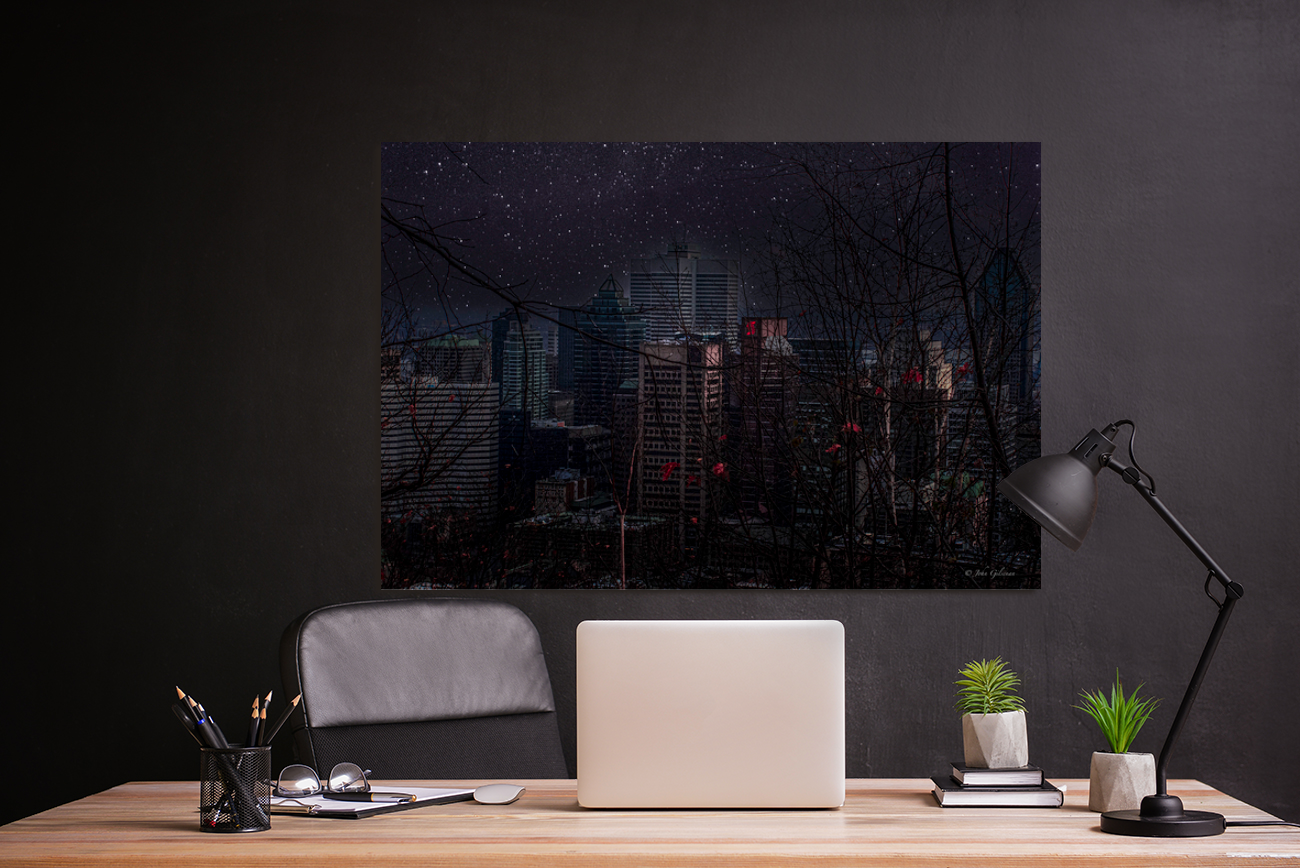 11139 Fantasy Skyline Montreal