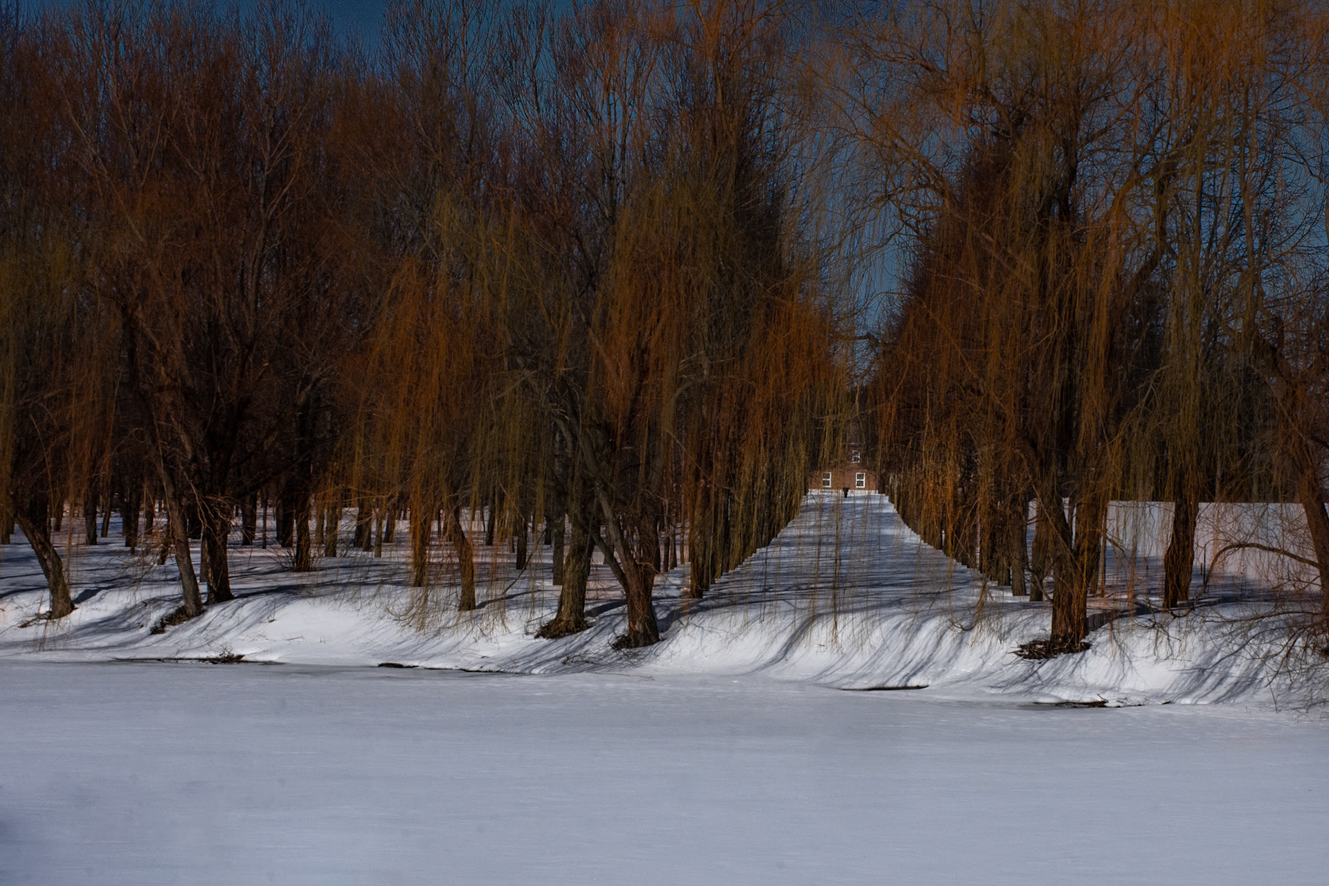 11205 Johnstown, Ont.