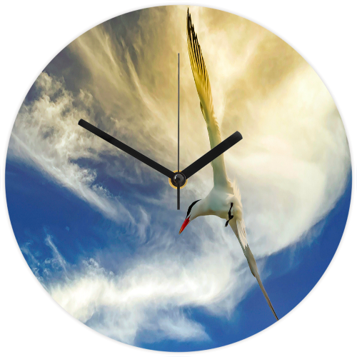 Clock 11018 Common tern