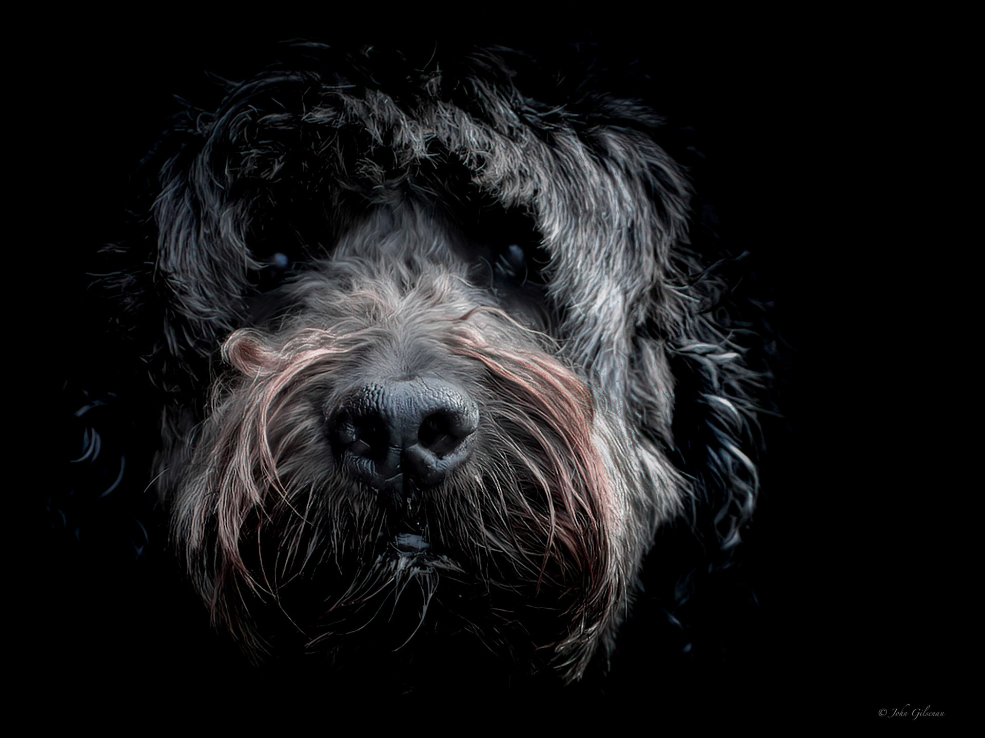 10051 Murphy Portrait