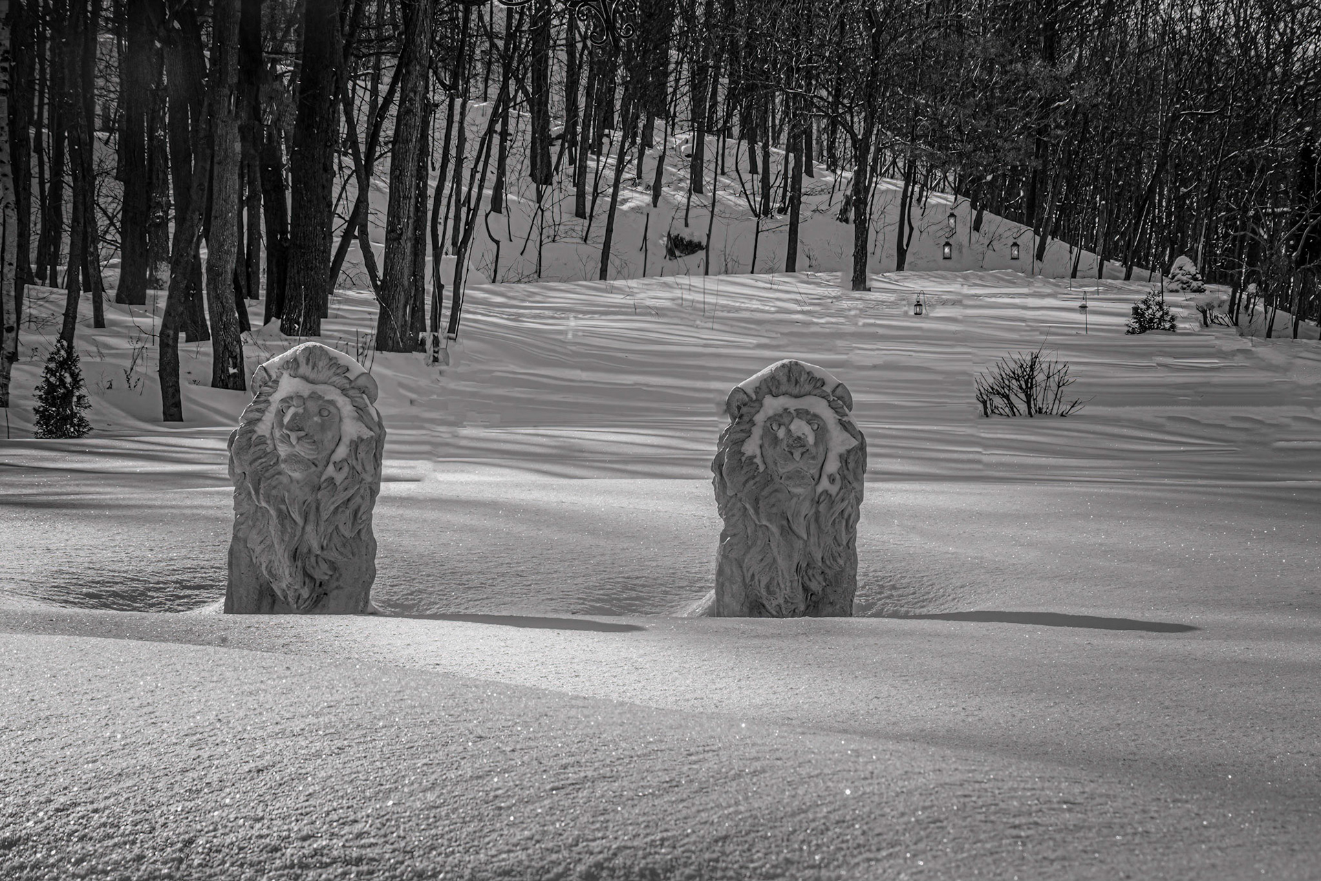 10755 Where the Lions Are