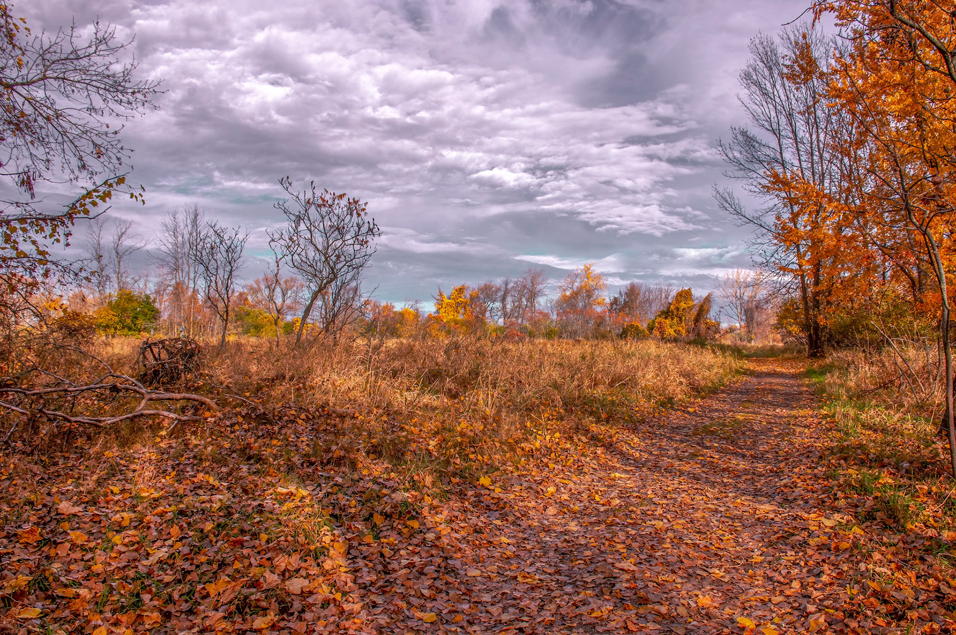 11321 Ile Bernard, Chateauguay