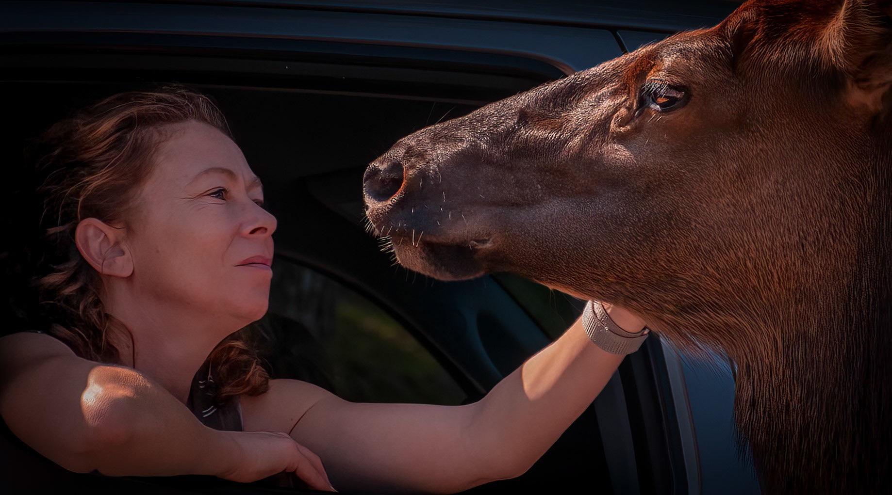 11174 A Close Encounter