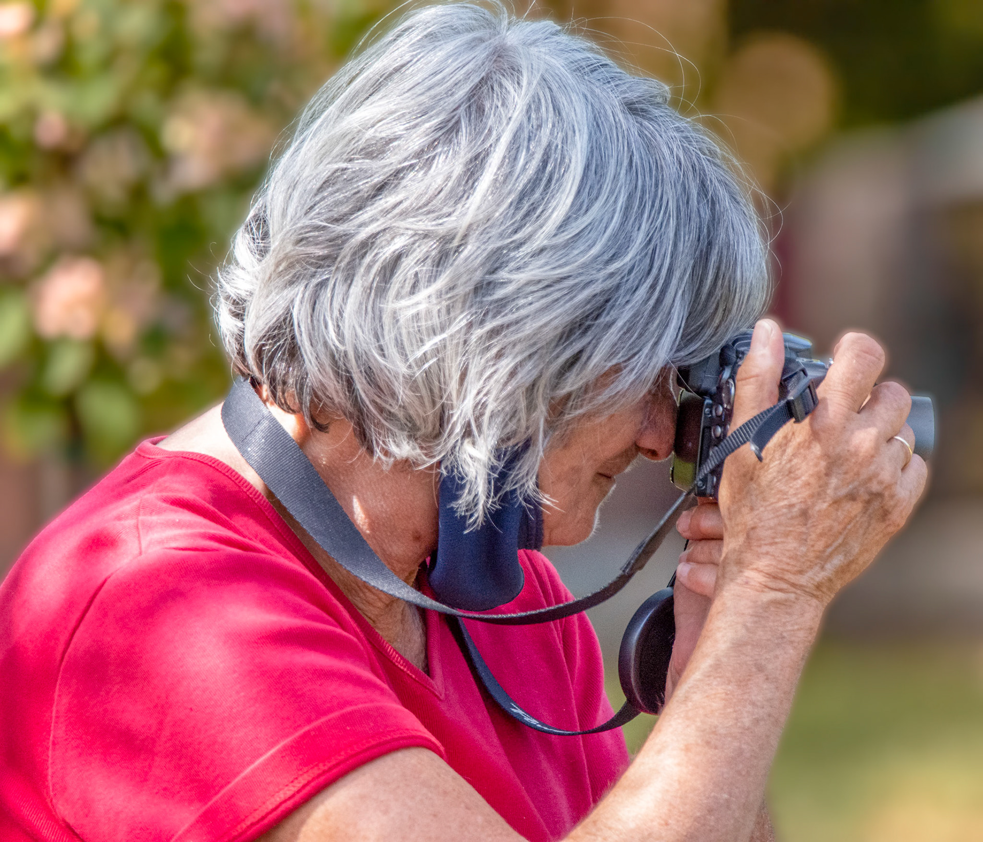 11247 Senior's Moment