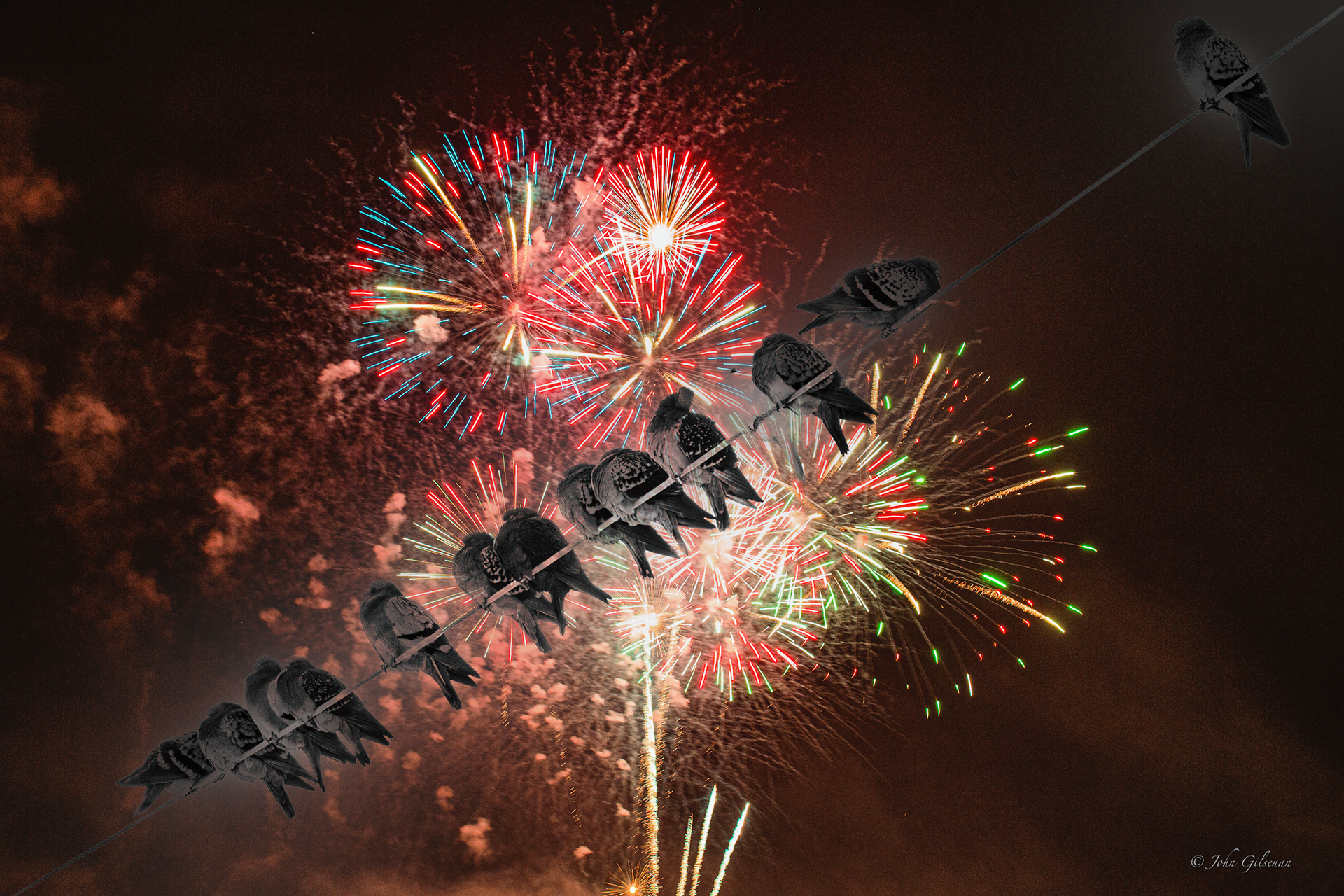 11003 Birds on a Wire