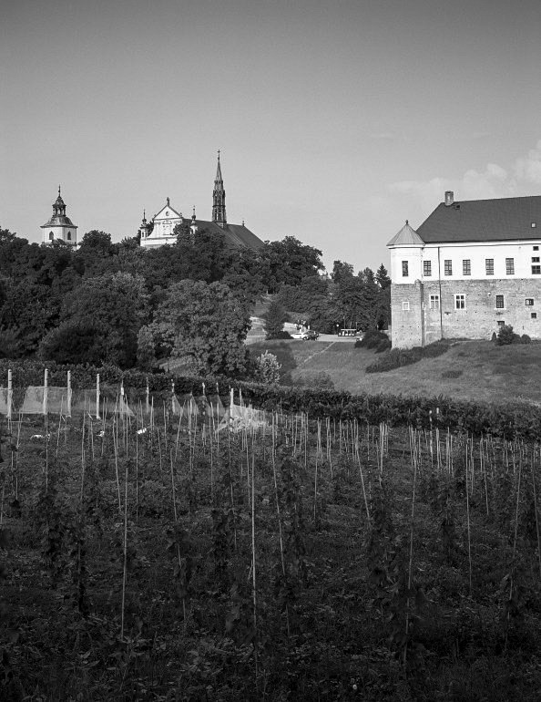 © Paweł Malecki
