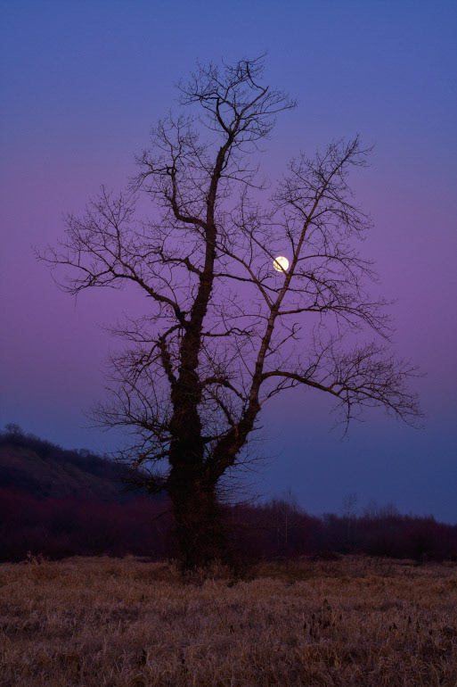 © Paweł Malecki