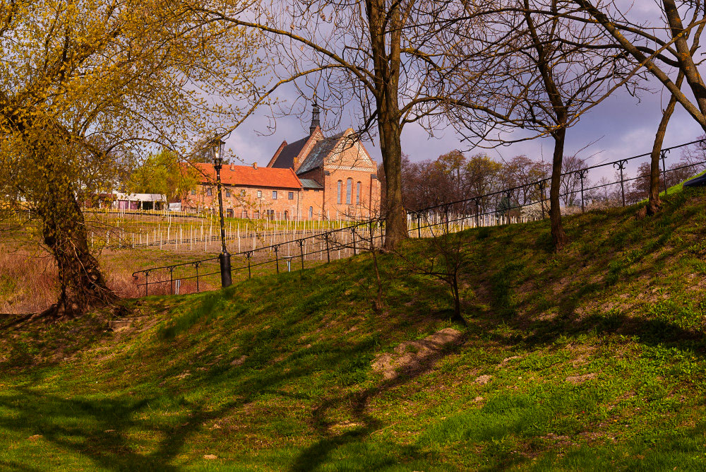© Paweł Malecki