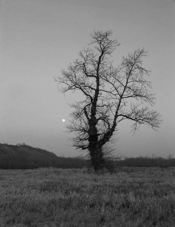 © Paweł Malecki