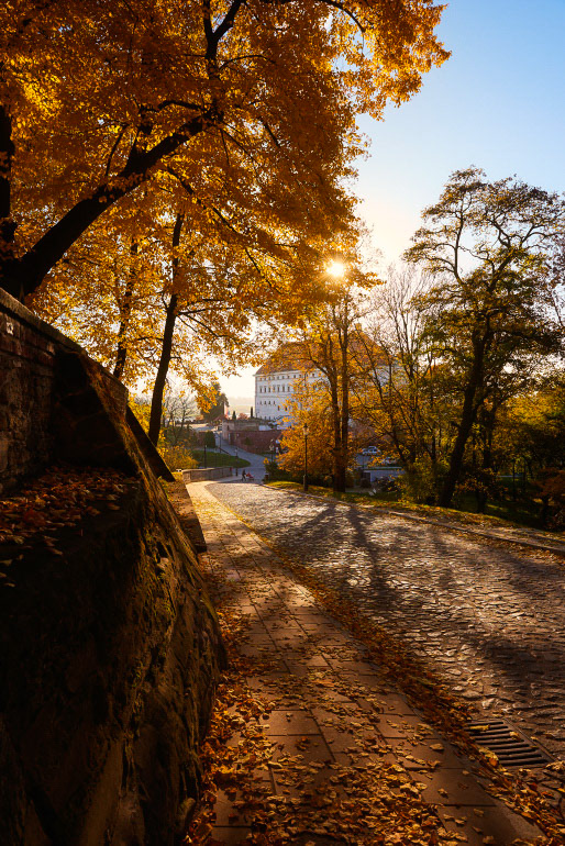 © Paweł Malecki