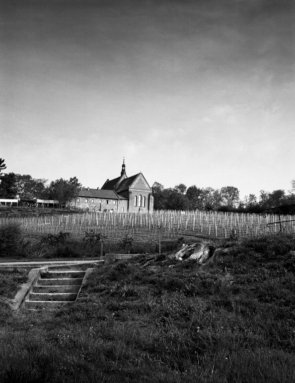 © Paweł Malecki