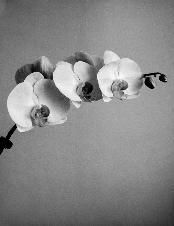 © Paweł Malecki