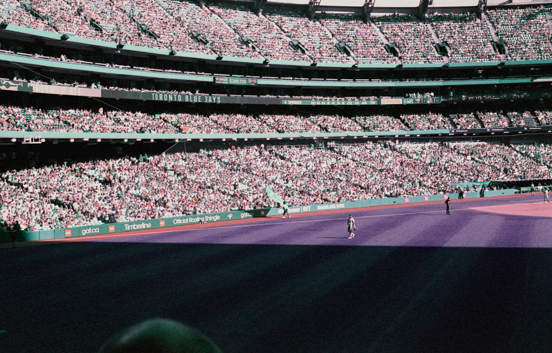 Lomochrome Purple on Nikon FM3A