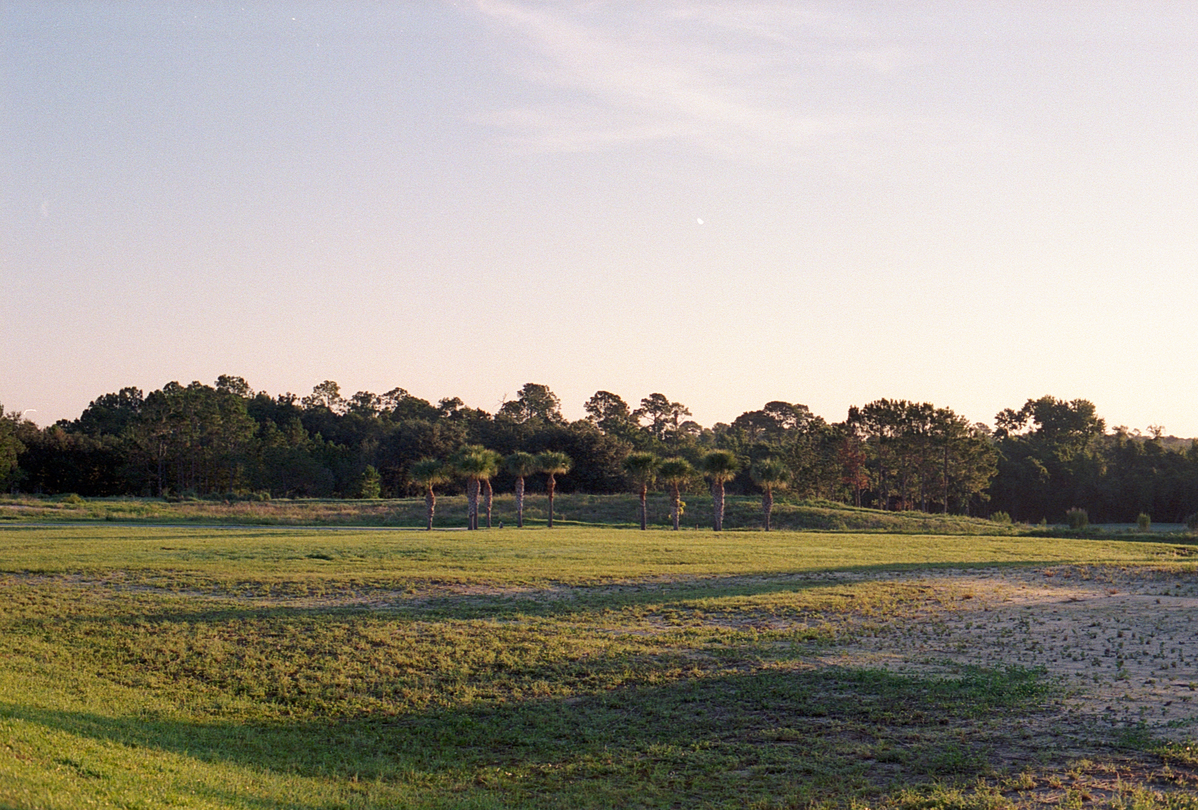 Kodak Portra 800 on Nikon FM3A