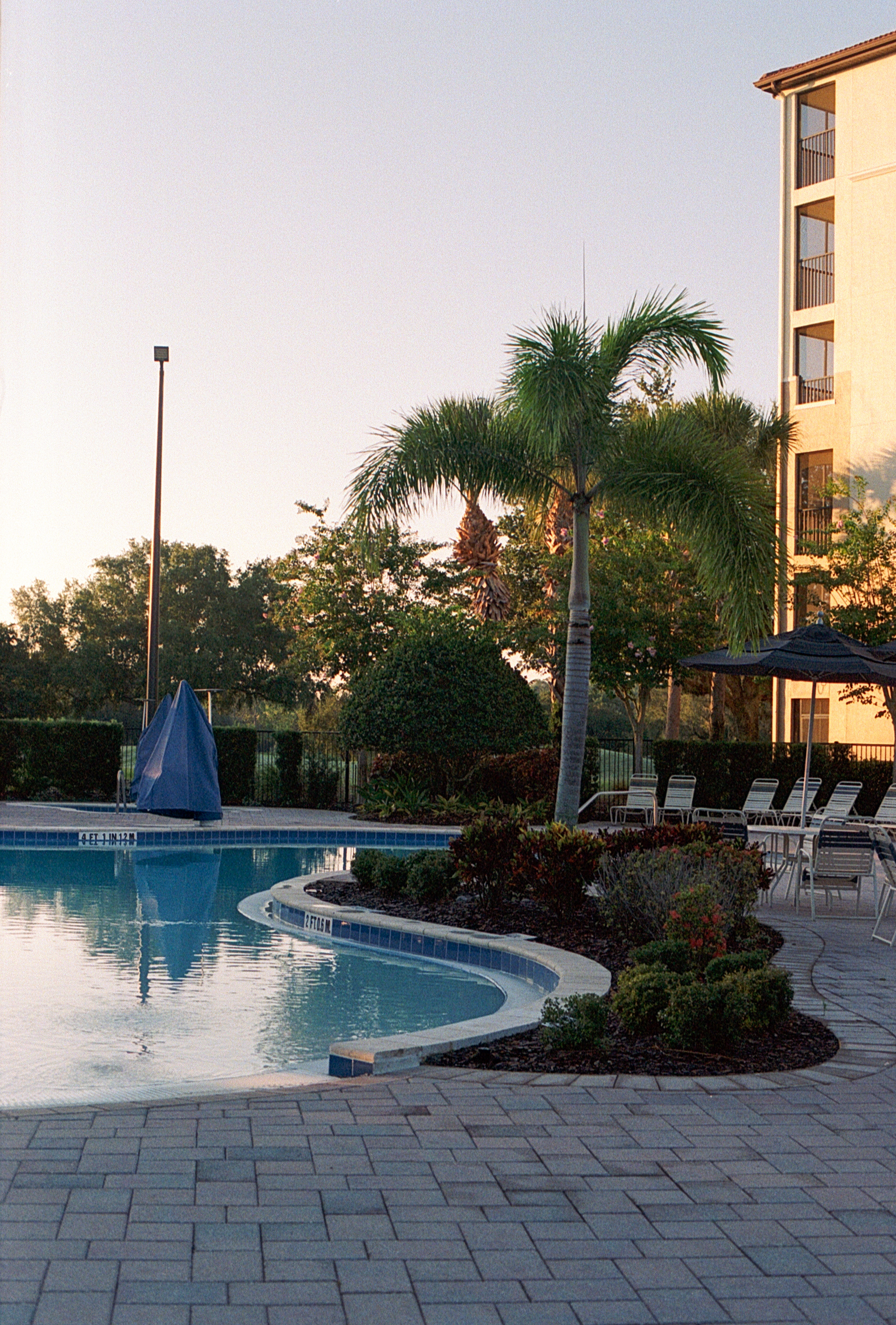 Kodak Portra 800 on Nikon FM3A