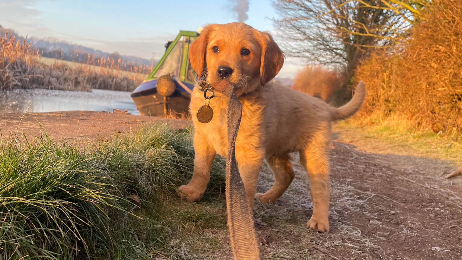 Towpath on Coventry Canal near Hartshill