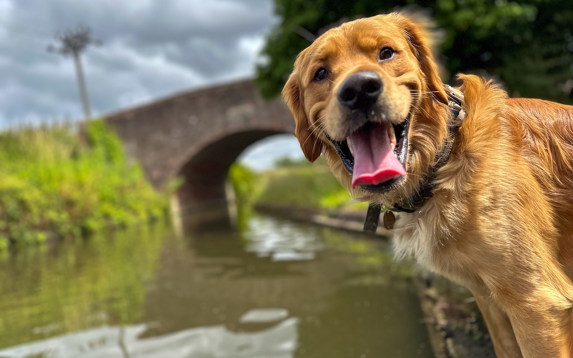 Birmingham and Fazeley Canal at Minworth