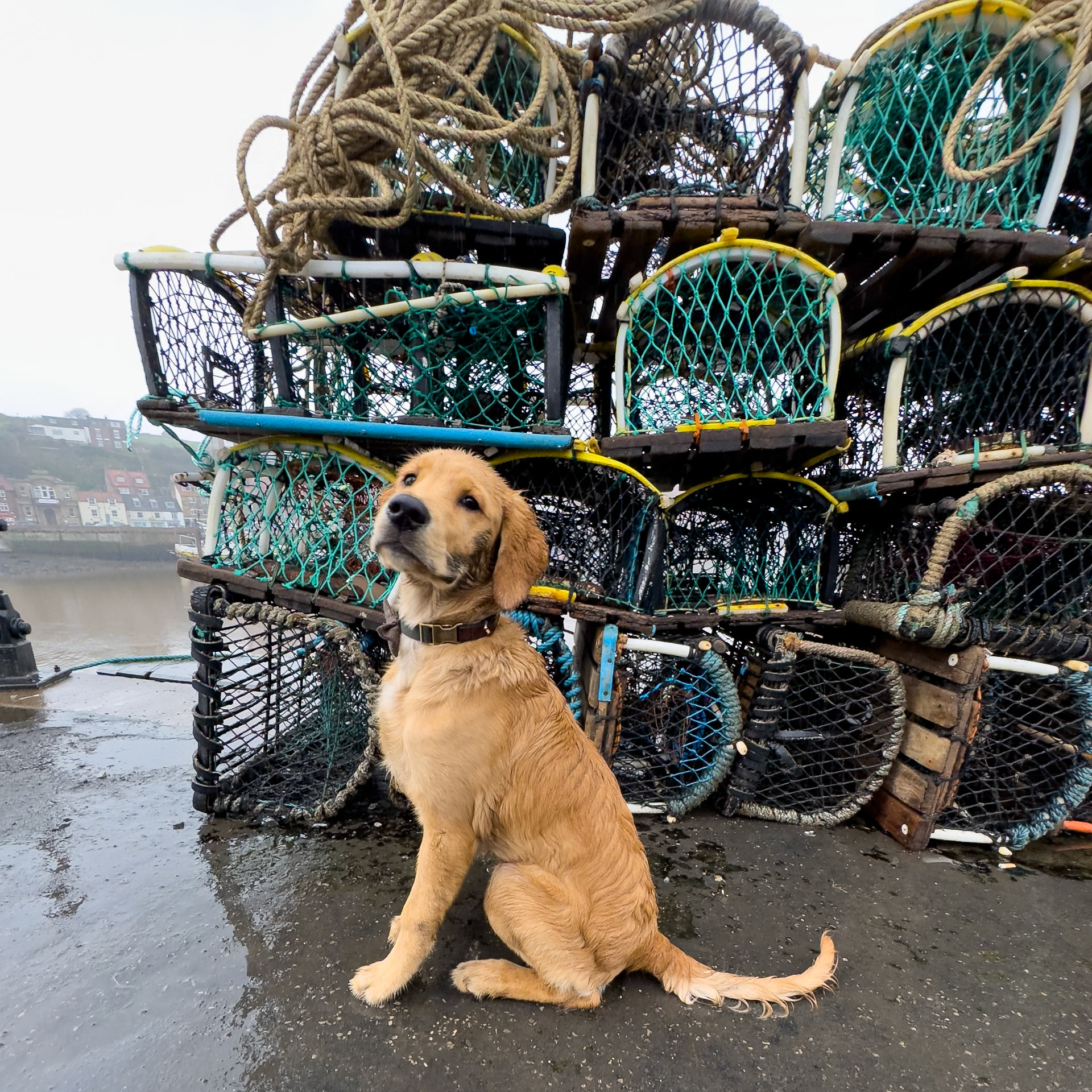 Finlay at 22 weeks old