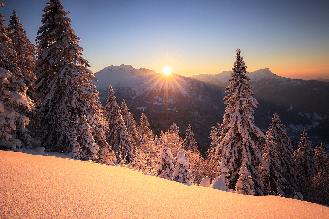 Hiver Doré