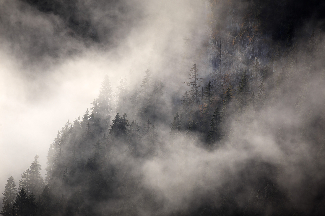 Esprit d'Automne