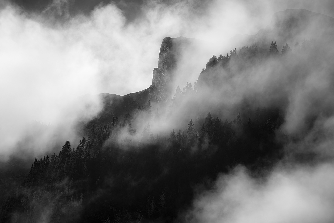 Brumes d'Automne