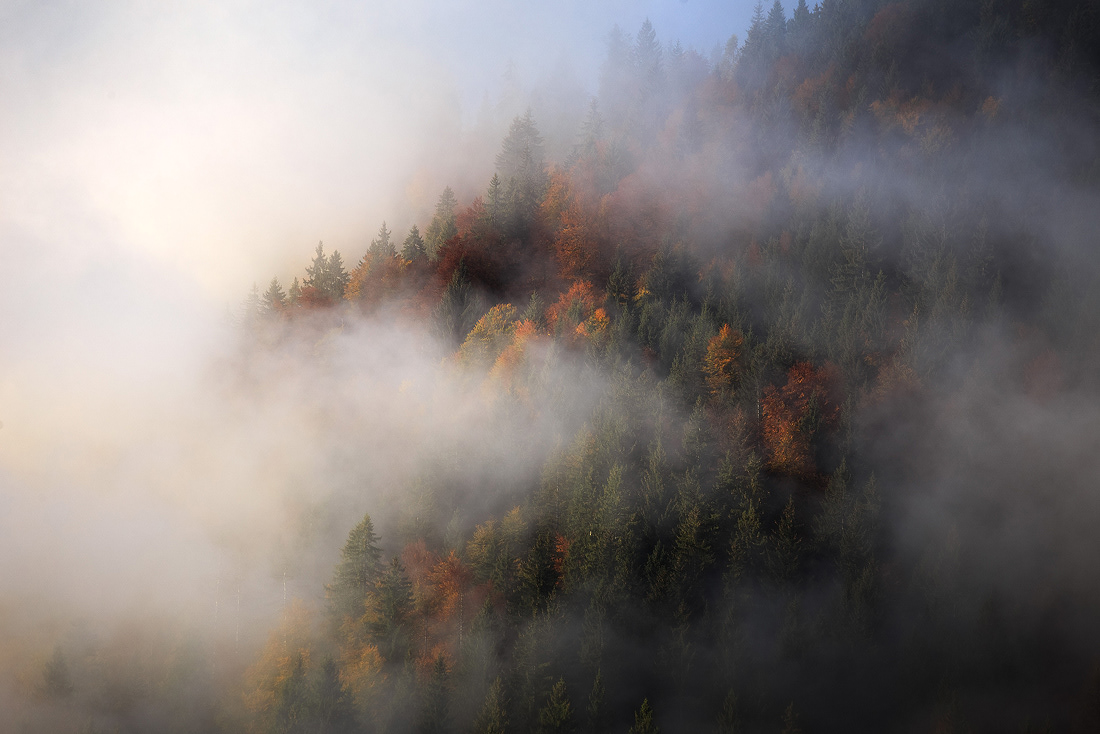 Symphonie d'Automne