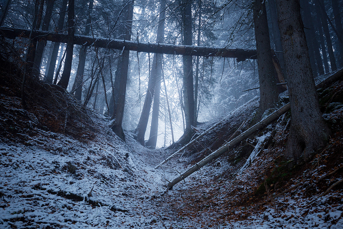 Prélude d'Hiver