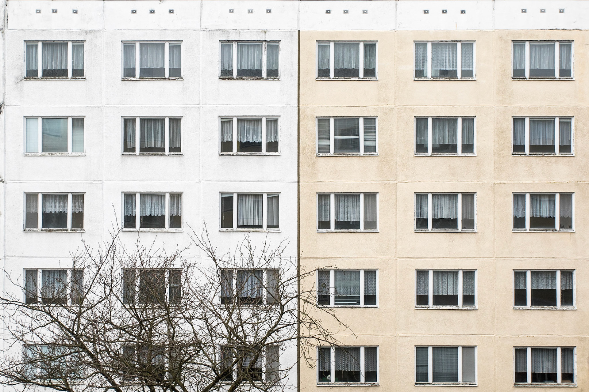 Fasad / Phasad, Rostock 2015