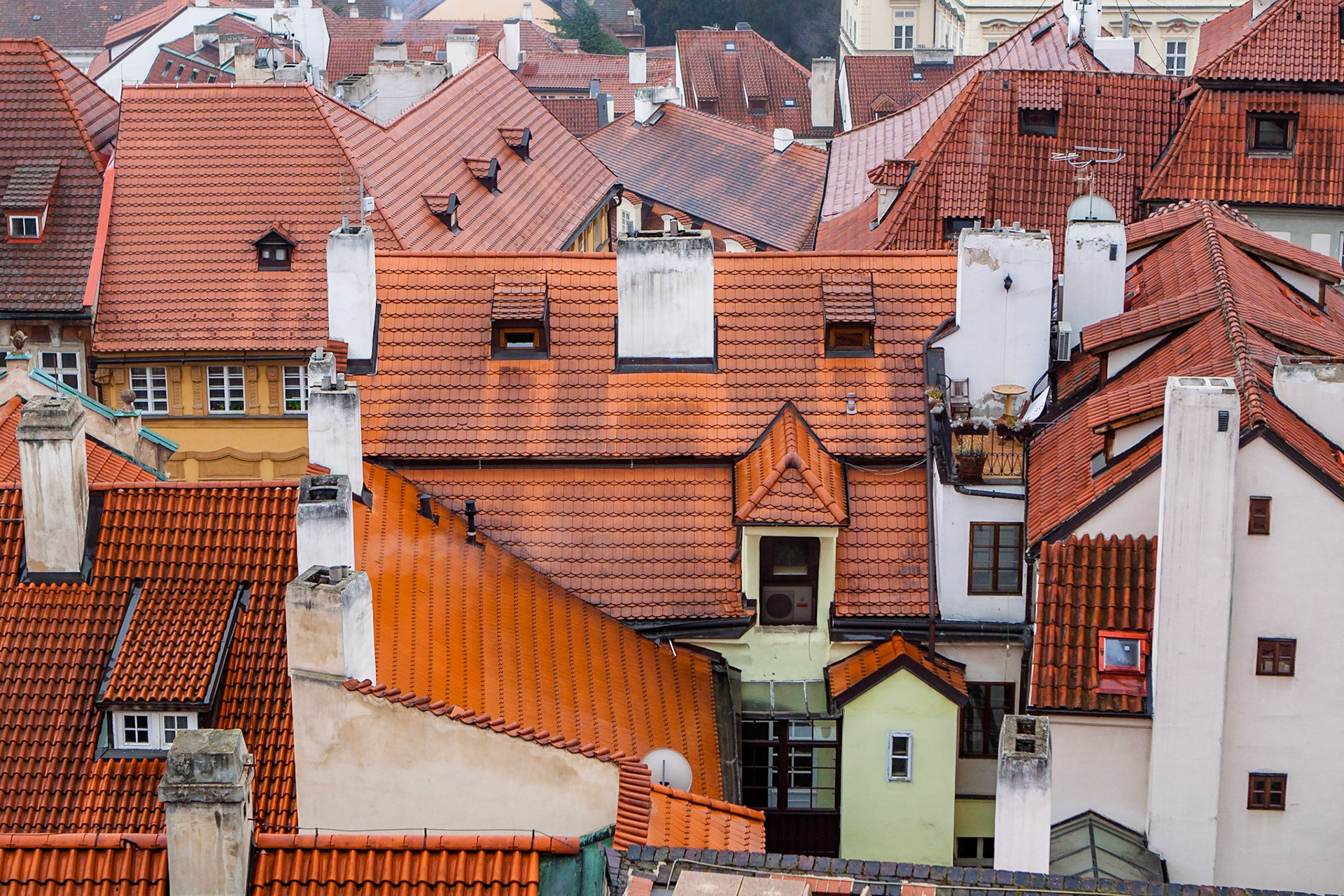 Tak / Roofs, Praha 2013